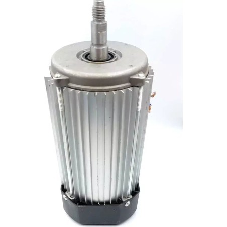 Dedra Motor