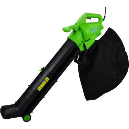 Geko  (G81071)